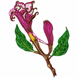 Flowers Embroidery Design 8